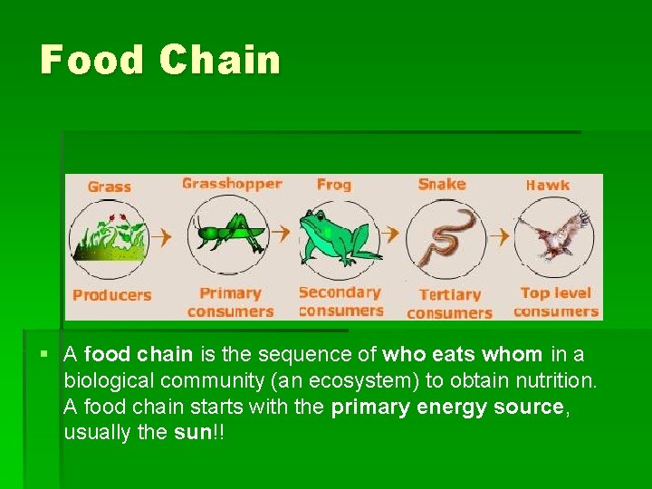 Food Chain § A food chain is the sequence of who eats whom in