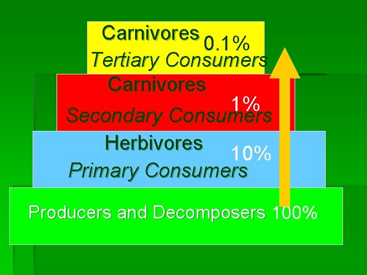 Carnivores 0. 1% Tertiary Consumers Carnivores 1% Secondary Consumers Herbivores 10% Primary Consumers Producers
