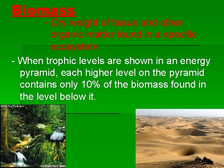 Biomass - Dry weight of tissue and other organic matter found in a specific
