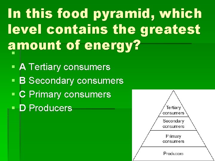 In this food pyramid, which level contains the greatest amount of energy? § §
