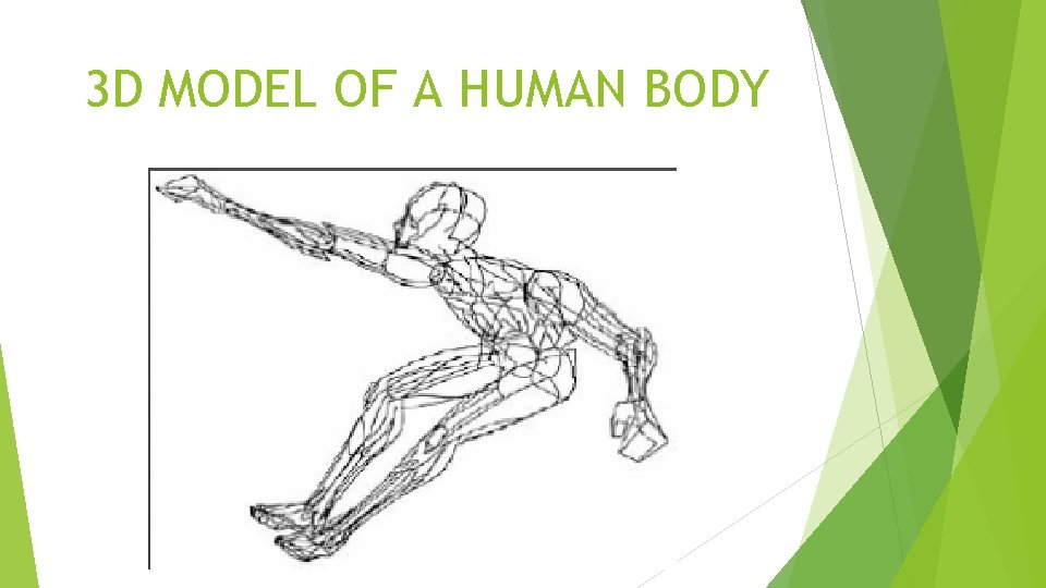3 D MODEL OF A HUMAN BODY 3 D MODEL OF A HUMAN BODY