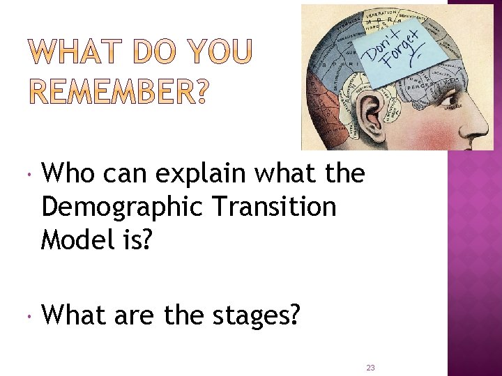  Who can explain what the Demographic Transition Model is? What are the stages?