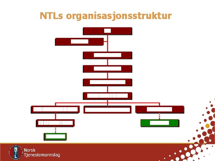 NTLs organisasjonsstruktur 