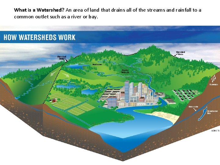 What is a Watershed? An area of land that drains all of the streams