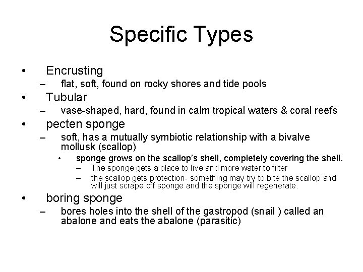 Specific Types • Encrusting – • flat, soft, found on rocky shores and tide