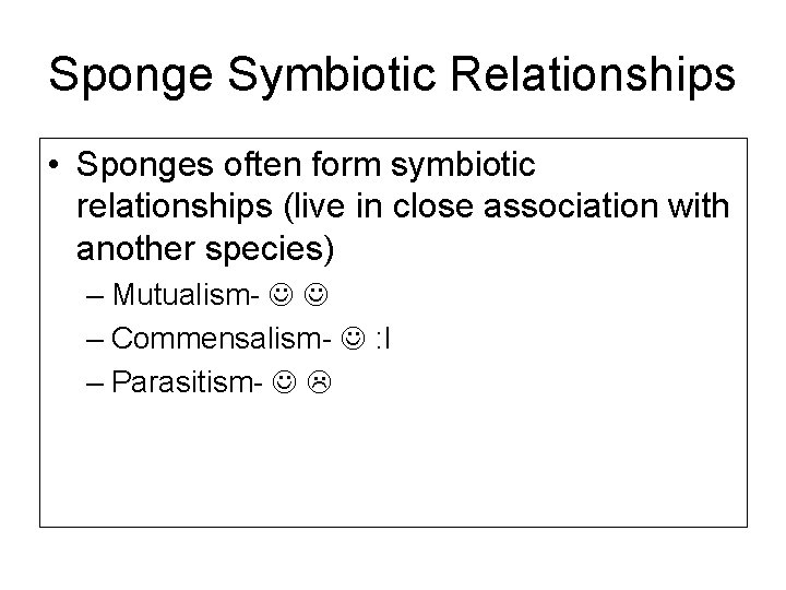 Sponge Symbiotic Relationships • Sponges often form symbiotic relationships (live in close association with
