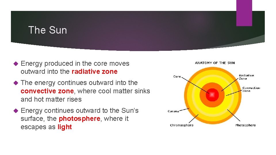 The Sun Energy produced in the core moves outward into the radiative zone The