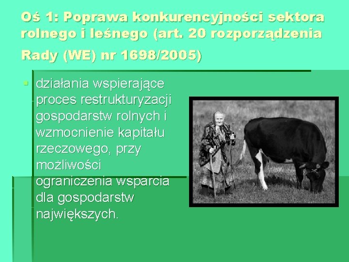 Oś 1: Poprawa konkurencyjności sektora rolnego i leśnego (art. 20 rozporządzenia Rady (WE) nr