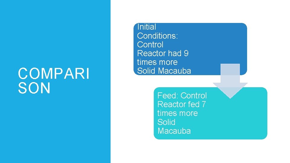 COMPARI SON Initial Conditions: Control Reactor had 9 times more Solid Macauba Feed: Control