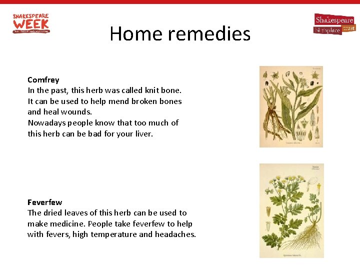 Home remedies Comfrey In the past, this herb was called knit bone. It can