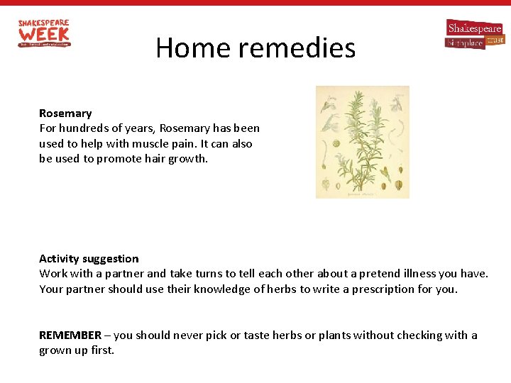 Home remedies Rosemary For hundreds of years, Rosemary has been used to help with