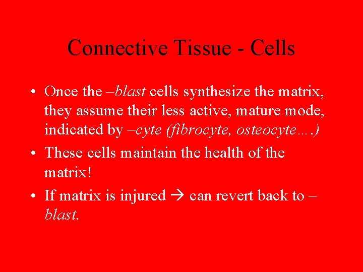 Connective Tissue - Cells • Once the –blast cells synthesize the matrix, they assume