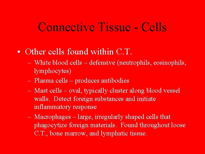 Connective Tissue - Cells • Other cells found within C. T. – White blood