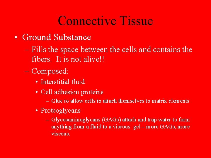 Connective Tissue • Ground Substance – Fills the space between the cells and contains