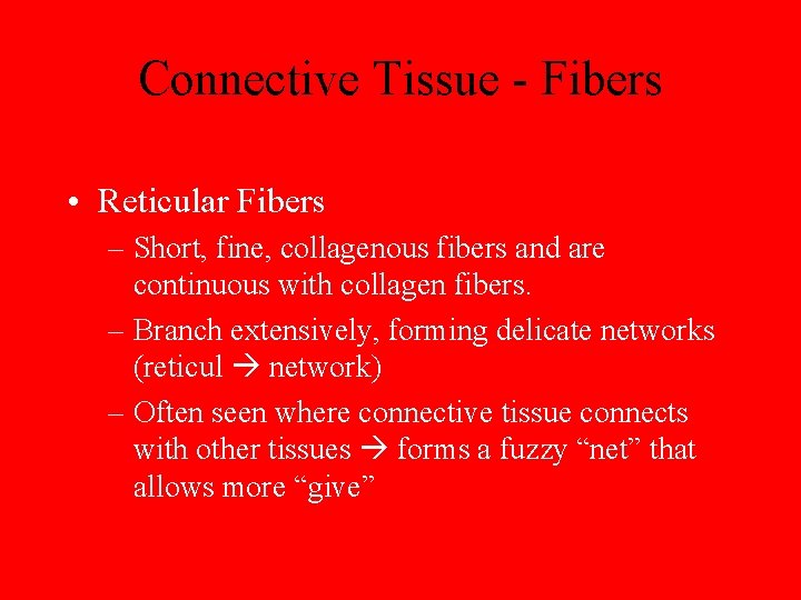 Connective Tissue - Fibers • Reticular Fibers – Short, fine, collagenous fibers and are