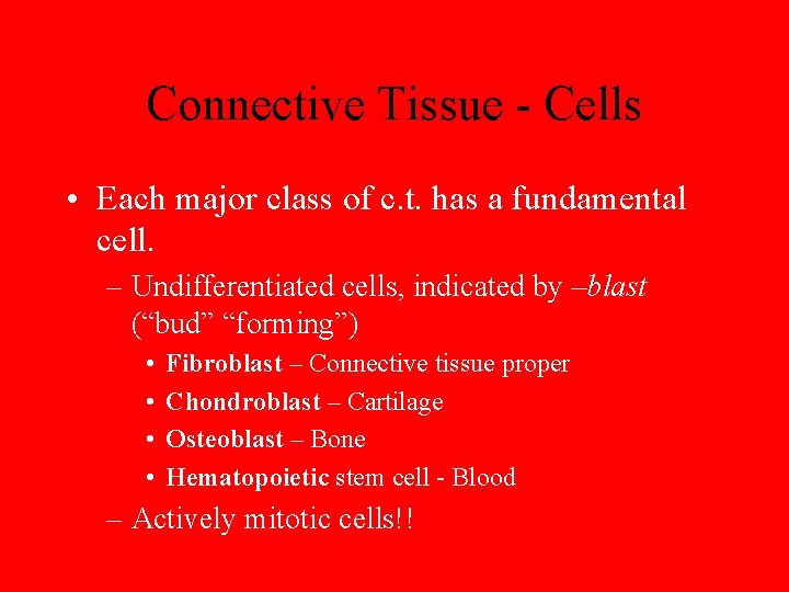 Connective Tissue - Cells • Each major class of c. t. has a fundamental