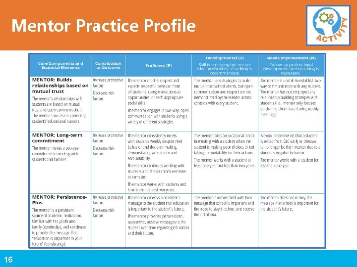 Mentor Practice Profile 16 
