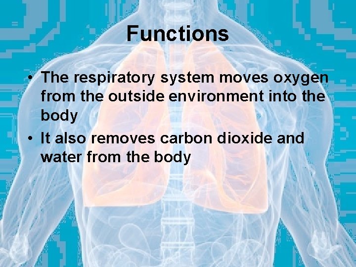 Functions • The respiratory system moves oxygen from the outside environment into the body