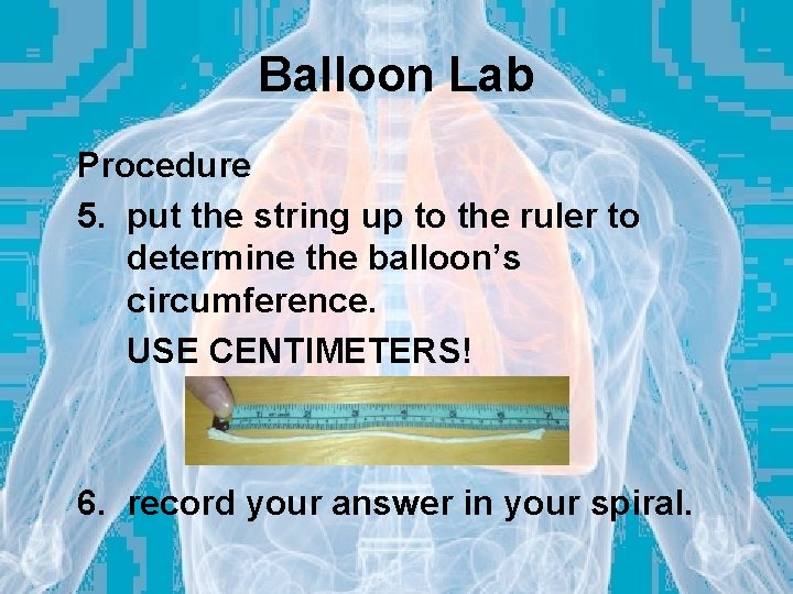 Balloon Lab Procedure 5. put the string up to the ruler to determine the