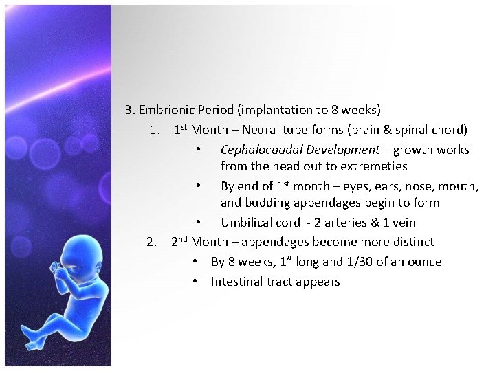 B. Embrionic Period (implantation to 8 weeks) 1. 1 st Month – Neural tube