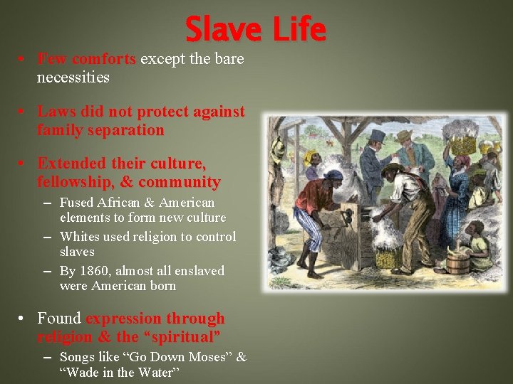 Slave Life • Few comforts except the bare necessities • Laws did not protect