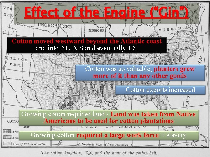 Effect of the Engine (“Gin”) Cotton moved westward beyond the Atlantic coast and into