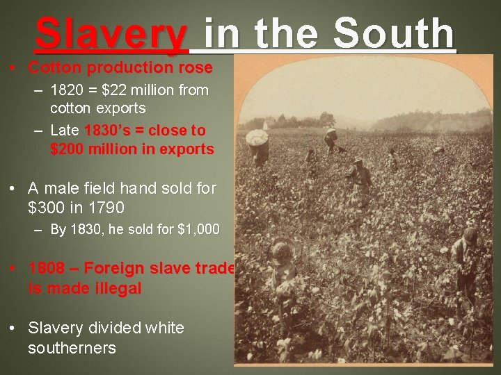 Slavery in the South • Cotton production rose – 1820 = $22 million from