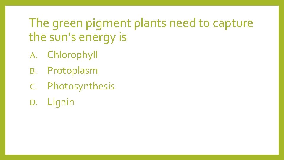 The green pigment plants need to capture the sun’s energy is Chlorophyll B. Protoplasm