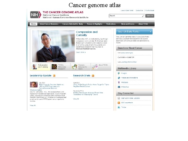 Cancer genome atlas Cancer genome atlas