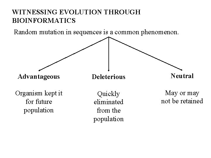 WITNESSING EVOLUTION THROUGH BIOINFORMATICS Random mutation in sequences is a common phenomenon. Advantageous Deleterious WITNESSING EVOLUTION THROUGH BIOINFORMATICS Random mutation in sequences is a common phenomenon. Advantageous Deleterious
