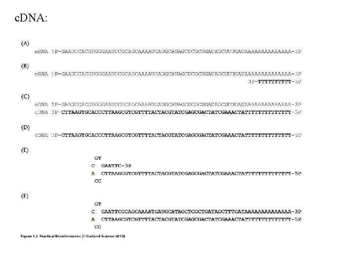 c. DNA: c. DNA: