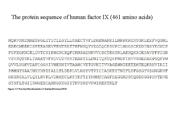 The protein sequence of human factor IX (461 amino acids) The protein sequence of human factor IX (461 amino acids)