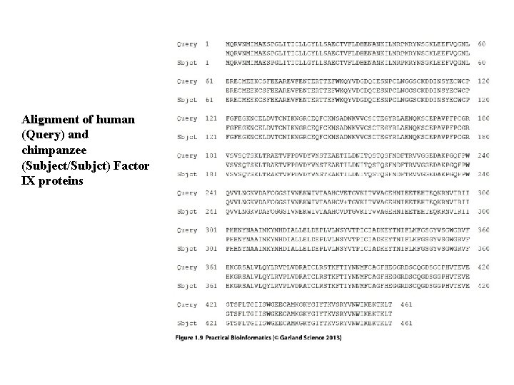 Alignment of human (Query) and chimpanzee (Subject/Subjct) Factor IX proteins Alignment of human (Query) and chimpanzee (Subject/Subjct) Factor IX proteins