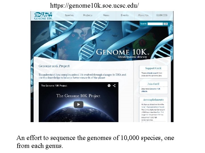 https: //genome 10 k. soe. ucsc. edu/ An effort to sequence the genomes of https: //genome 10 k. soe. ucsc. edu/ An effort to sequence the genomes of