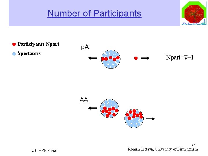 Number of Participants Npart p. A: Spectators Npart=n+1 AA: UK HEP Forum 34 Roman