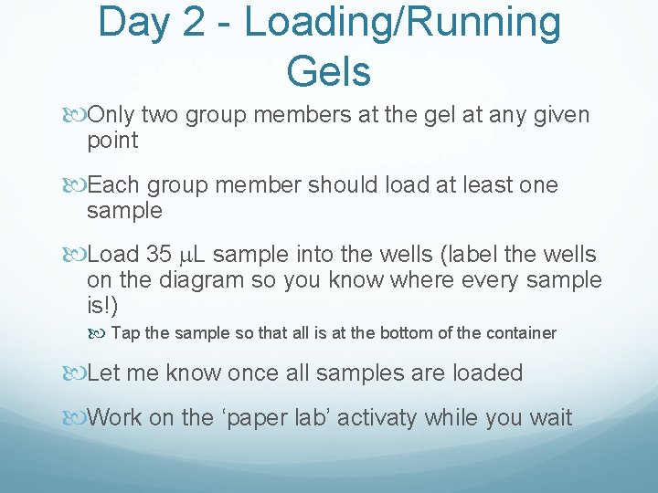 Day 2 - Loading/Running Gels Only two group members at the gel at any