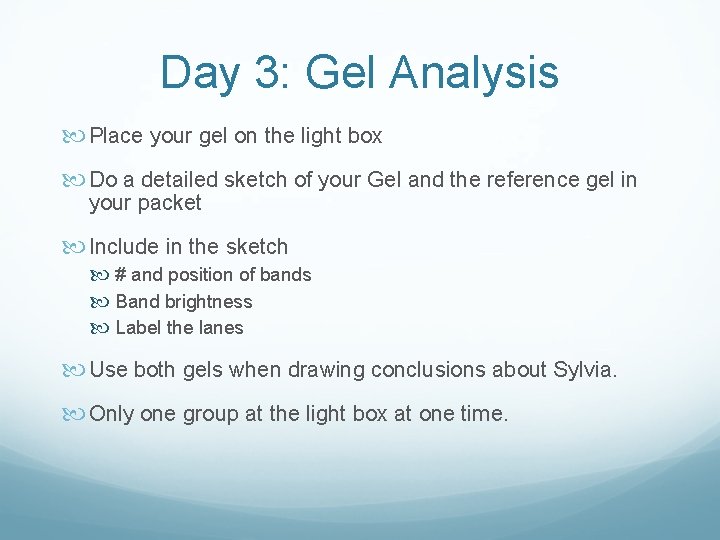 Day 3: Gel Analysis Place your gel on the light box Do a detailed