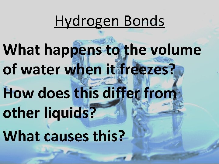 Hydrogen Bonds • What happens to the volume of water when it freezes? •