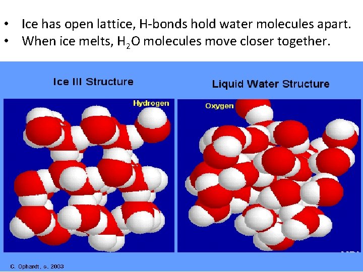  • Ice has open lattice, H-bonds hold water molecules apart. • When ice