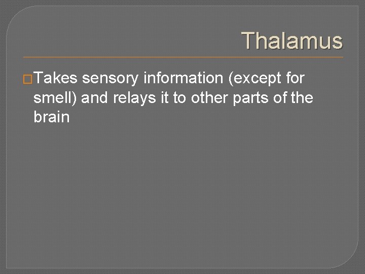 Thalamus �Takes sensory information (except for smell) and relays it to other parts of