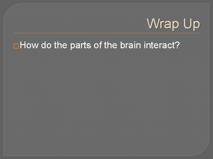 Wrap Up �How do the parts of the brain interact? 