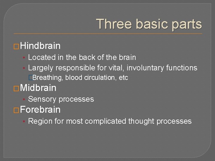 Three basic parts �Hindbrain • Located in the back of the brain • Largely