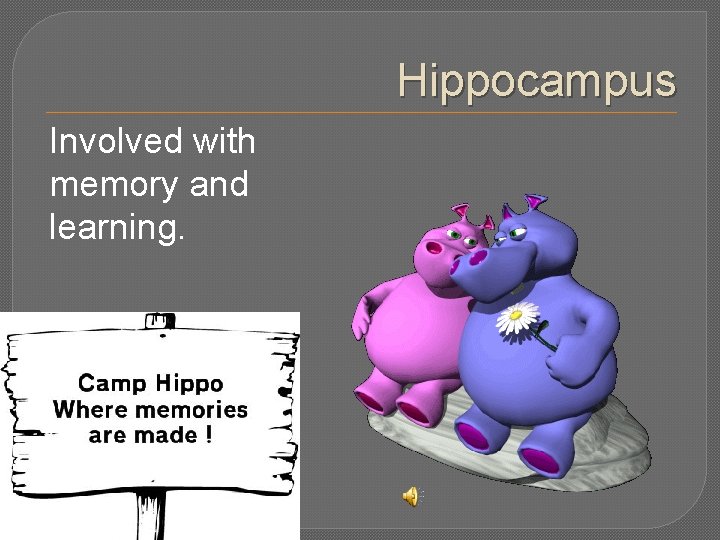 Hippocampus Involved with memory and learning. 