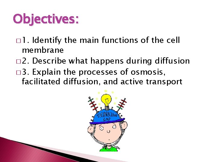 Objectives: � 1. Identify the main functions of the cell membrane � 2. Describe