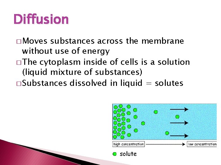 Diffusion � Moves substances across the membrane without use of energy � The cytoplasm