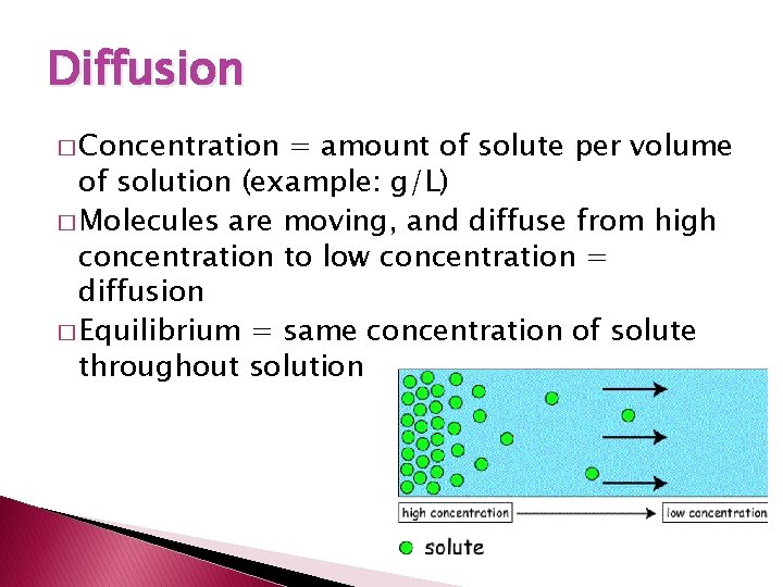Diffusion � Concentration = amount of solute per volume of solution (example: g/L) �