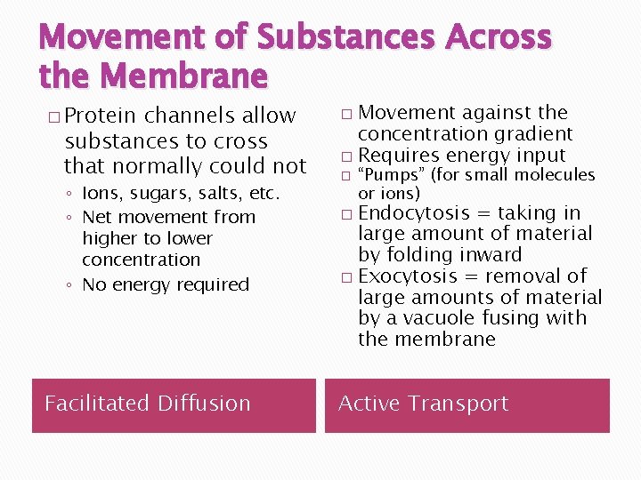 Movement of Substances Across the Membrane � Protein channels allow substances to cross that
