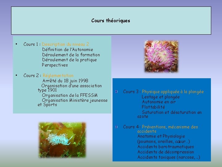 Cours théoriques • Cours 1 : Description du niveau 2 Définition de l’Autonomie Déroulement