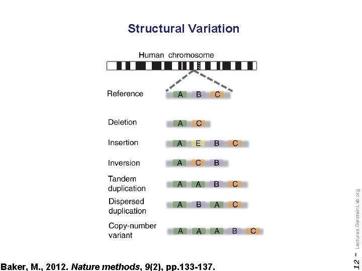 Baker, M. , 2012. Nature methods, 9(2), pp. 133 -137. 12 - Lectures. Gerstein.