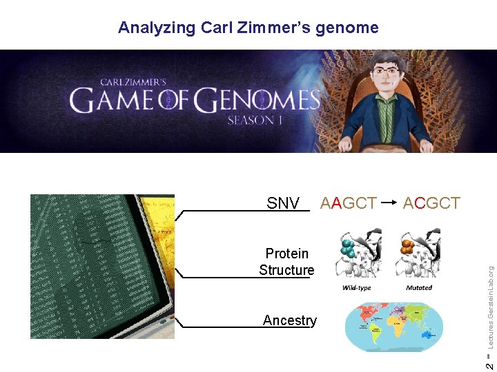 Analyzing Carl Zimmer’s genome Ancestry ACGCT - Lectures. Gerstein. Lab. org Protein Structure AAGCT
